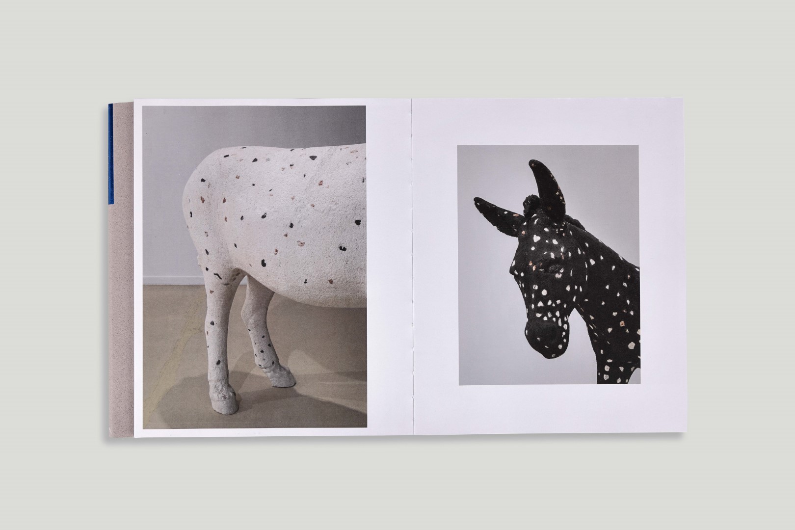 1737539507-45857-large